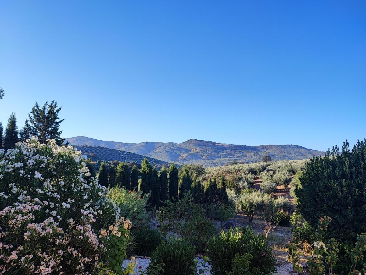 Cortijo Pennymaria Poolside Apartment Near Montefrio With Stunning Views Exterior photo