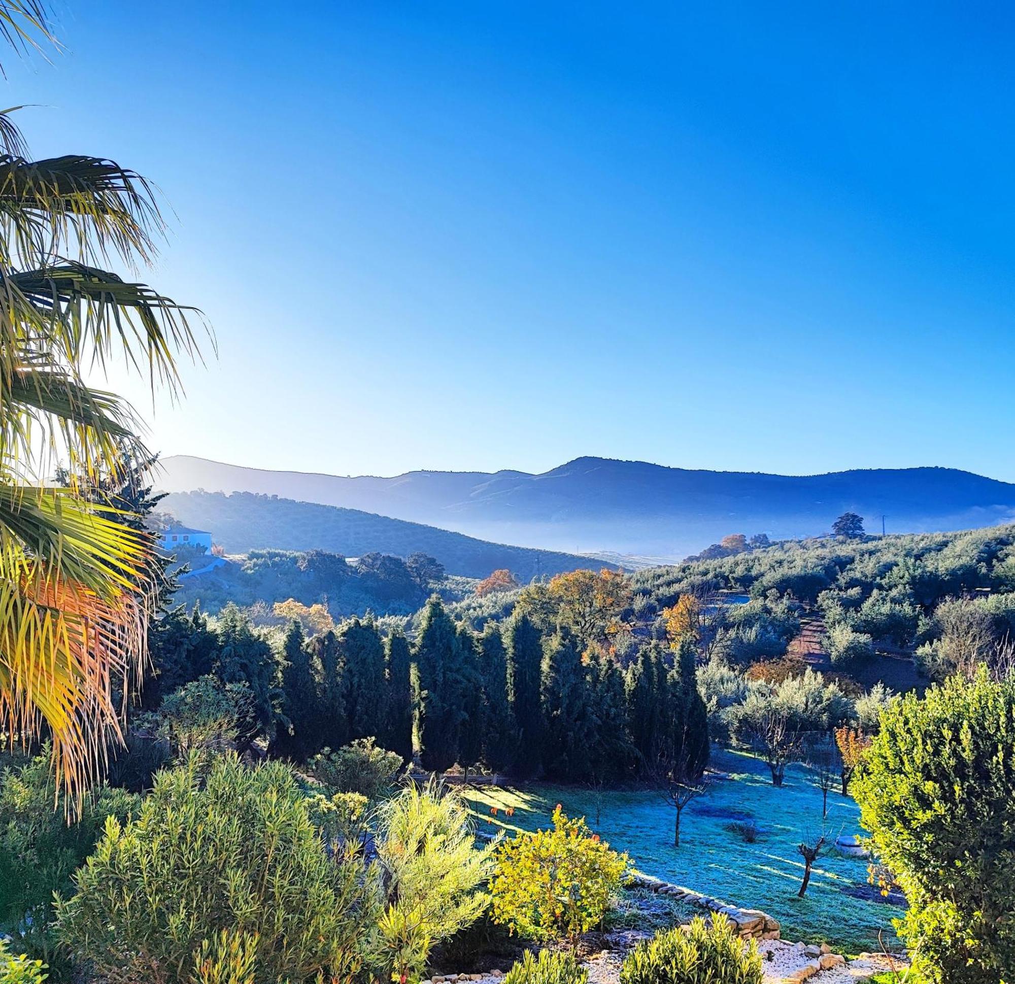 Cortijo Pennymaria Poolside Apartment Near Montefrio With Stunning Views Exterior photo